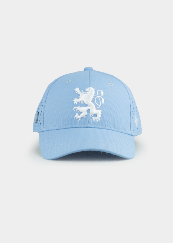 "1860 München: Löwe" - Mesh hellblau (Curved)